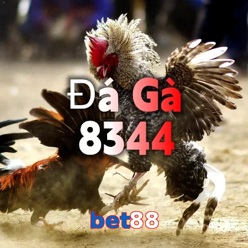 bet88